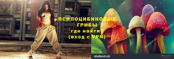 гашик Зеленодольск