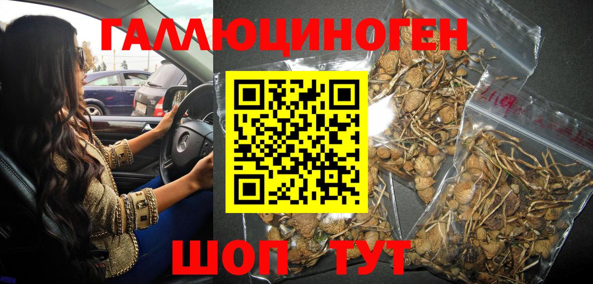 Калач-на-Дону  Псилоцибиновые грибы мухоморы  Вход с VPN 