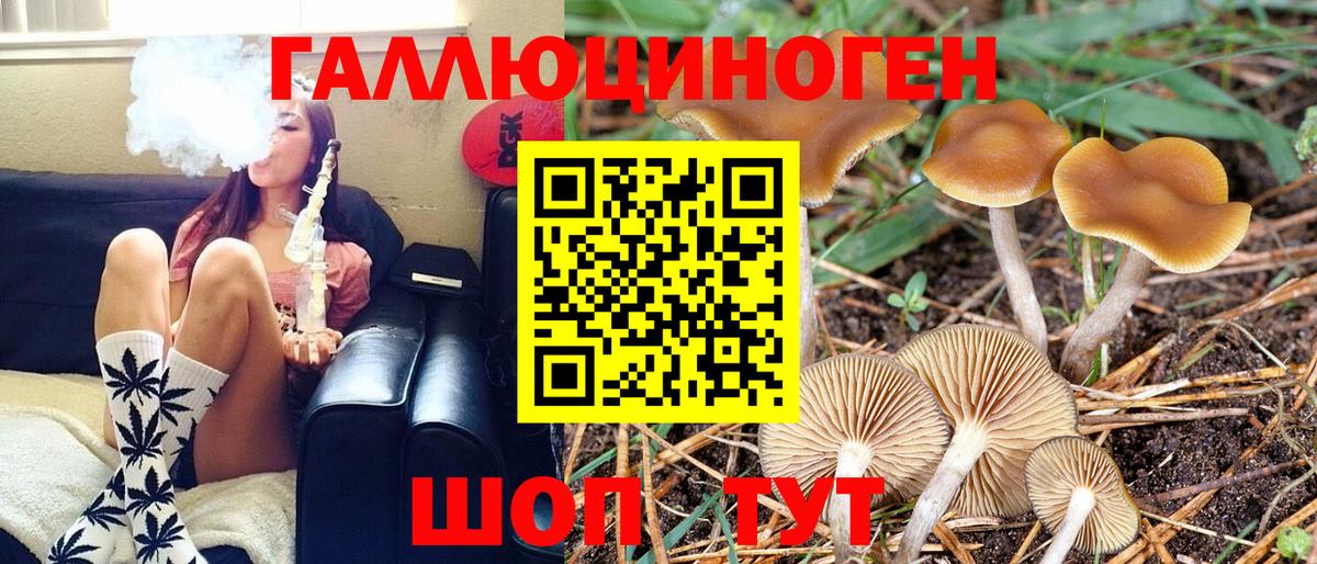 Псилоцибиновые грибы GOLDEN TEACHER Калач-на-Дону