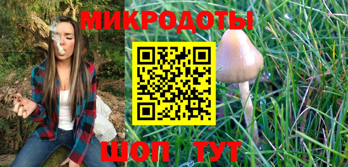 где купить   Галлюциногенные грибы Psilocybine cubensis  Калач-на-Дону  Галлюциногенные грибы ЛСД 